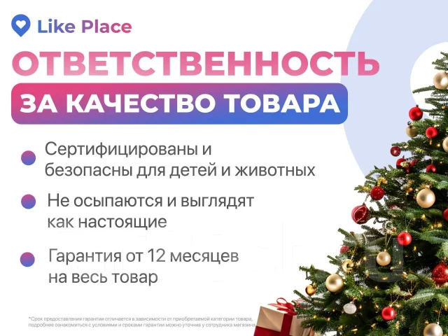 ���� �������������. ����