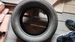 Triangle PS01. ������, ����������, 2020 ���, �/�, ����� 60 % ����
