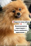 ����. ����