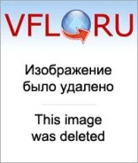 ������� �������� Mitsubishi Space Wagon, 8T KR SDM6011 SDM6011 ����