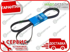 ������ ������������ Sun � ��������� � ��������� [6PK2240] 6PK2240 ����
