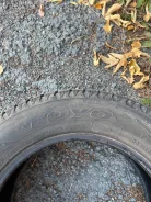 Toyo. ������, ��� �����, 2021 ���, �/�, ����� 80 % ����