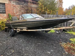 Skeeter. 2001 ���, ����� 5,8��., ��������� ��� ���������, 200��.�. ����