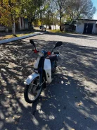 Honda Super Cub 50. 49����. ��., ��������, ��� ���, ������ �� �� ����