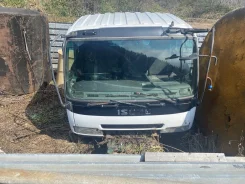 Isuzu Giga ����