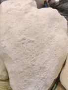 ���. ����