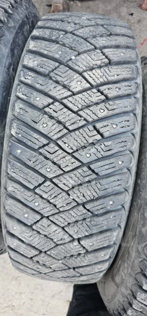 Goodyear. ������, ����������, 2017 ���, �/�, ����� 5 % ����