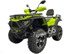 Bashan Explorer 300