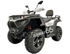 Bashan Explorer 300