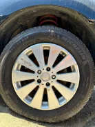 Treasure One Lxryhanes. x17", 5x114.3 ����