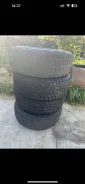 Bridgestone Blizzak DM-Z2. ������, ��� �����, �/�, ����� 25�% ����