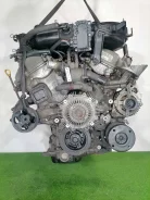 ����� ��� Toyota FJ-Cruiser 2007 4431035660 ����