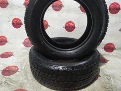 Bridgestone Ice Partner