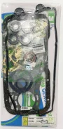 ����������� ��������� GA14DS (FS7060-G) GA14DS, DOHC 90- OEM Genuine Gasket ���. 10101-73Y25 G 1010173Y25G ����