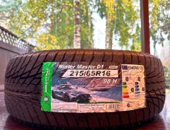 Greentrac Winter Master D1. ������, ��� �����, 2024 ���, �����. �������� ����