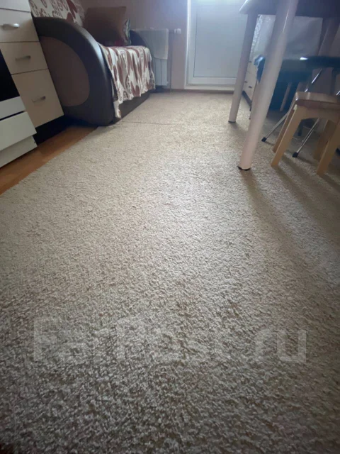 ����, ����� �������� 295. ������, ������� ����, 36���.��. (����), 14/24 ���� ����
