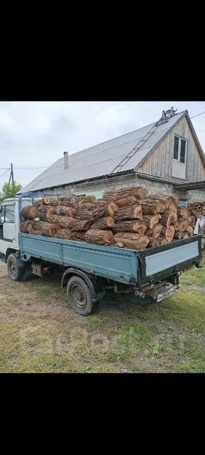 �������. ��� ����