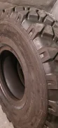 TyRex CRG O-184. ������, 2022 ���, ����� ����