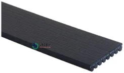������������ ������ ������� ��������������� ��������� FleetRunner� Gates 8PK1790HD 8PK1790HD ����