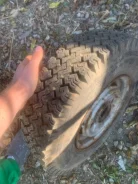 Dunlop Snow Drive. �����������, �/�, ����� 10 % ����
