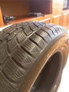 Fortuna. ������, ��� �����, 2022 ���, �/�, ����� 30 % ����