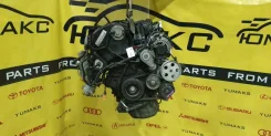 ��������� Audi Q5 CDN 8R Audi Q5, A4, A5 06H100033DX ����