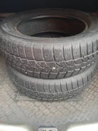 Tigar. ������, ����������, 2024 ���, �/�, ����� 5 % ����