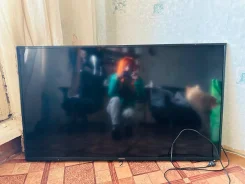 Hisense. OLED ����