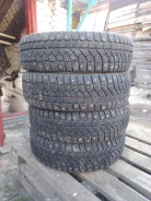 Viatti Brina Nordico. ������, ����������, 2022 ���, �/�, ����� �� 5�% ����