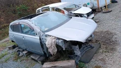 Nissan Dualis. NJ10, MR20DE ����