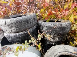 Bridgestone Sneaker. ������, ����������, �/�, ����� 60 % ����