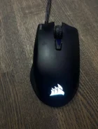 ���� ������������. ����