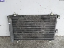 �������� ���������� (����. ) Citroen Berlingo (2003-2007) ����