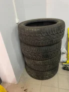 Toyo Winter Tranpath. ������, ����������, 2018 ���, �/�, ����� 20 % ����