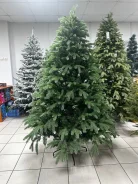 ���� �������������. ����