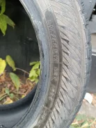 Yokoma. ������, ����������, 2023 ���, �/�, ����� 5 % ����