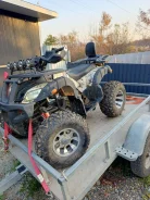Grizzly. ��������, ��� ���\���, �� ����