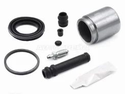 ����������� �������� Autofren D41799C D41799C ����