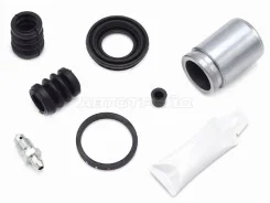 ����������� �������� Autofren D42025C D42025C ����