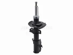 ������ Baikor Bksaf0248, ����� �������� BKSAF0248 ����