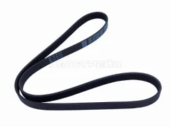 ������ ������������ Dayco 6PK1310 6PK1310 ����