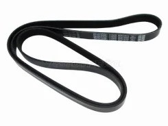 ������ ������������ Dayco 6PK1815 6PK1815 ����