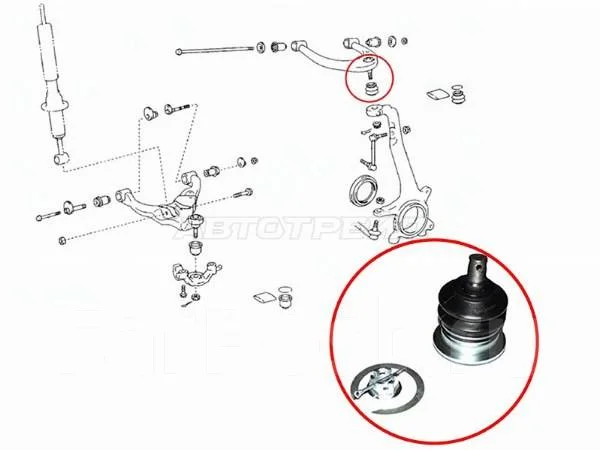 Шаровая опора верхнего рычага TOYOTA LAND CRUISER 100/LEXUS LX470/SURF/PRADO 02