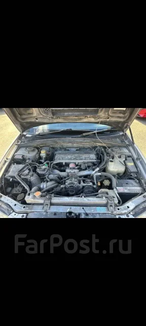 Subaru Forester. �������, ������ ����