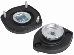 ����� ������ ������ Baikor Bksmr0025, ����� BKSMR0025 ����