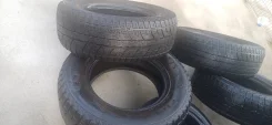 Presa PI14. ������, ��� �����, 2020 ���, �/�, ����� 30 % ����