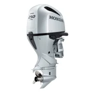 Honda. 250,00��.�., 4-�������, ����������, ���� X (635 ��), 2024 ��� ����
