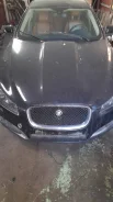 Jaguar XF ����