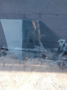 ������ �������� ����� ������ ����� GS 131 645666 ����