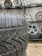 Semperit Speed-Grip 2. ������, ��� �����, 2013 ���, �/�, ����� 60 % ����